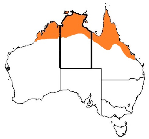 agile wallaby distrubition map