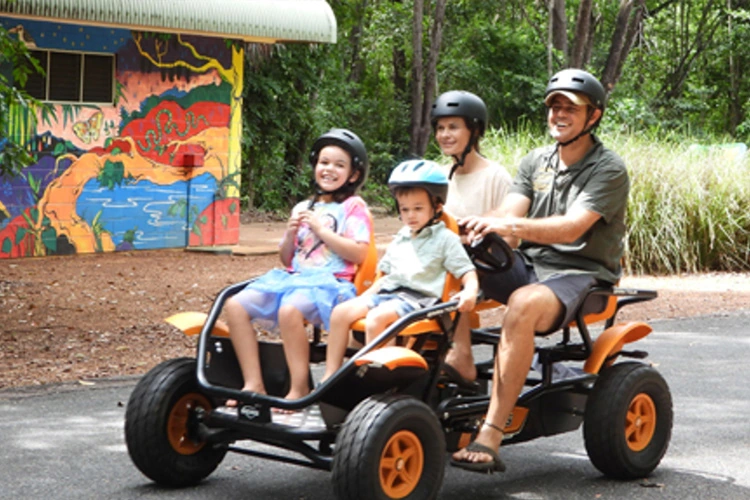 Family cart