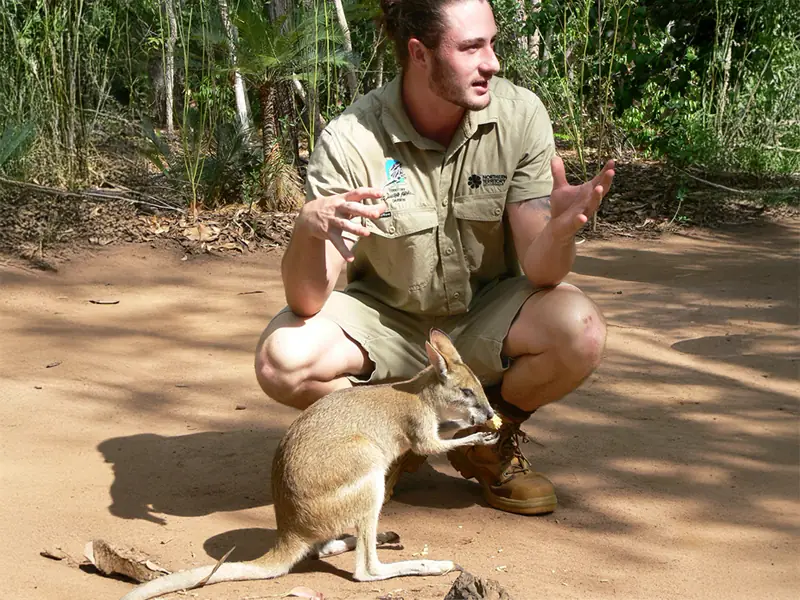 Wallaby enclosure