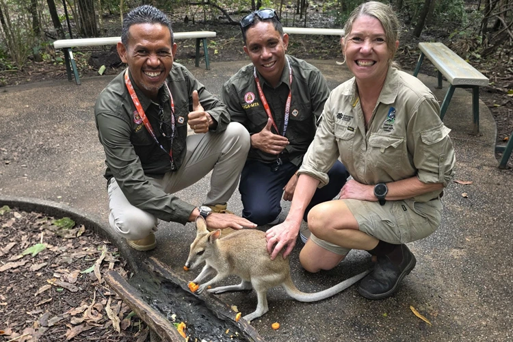 Wallaby muster