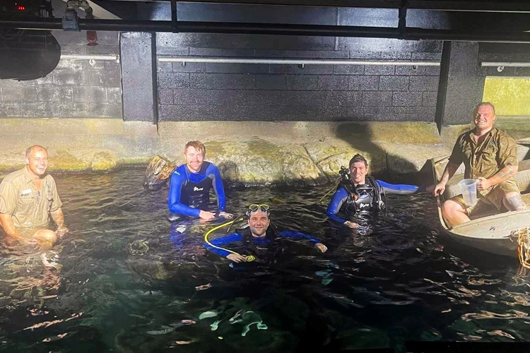Aquarium cleaning