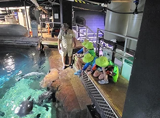 Keepers kids Aquarium