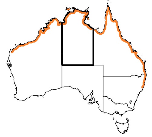 beach stone curlew distribution map