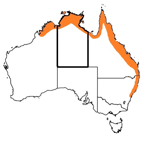 Distribution Map Brown Tree Snake