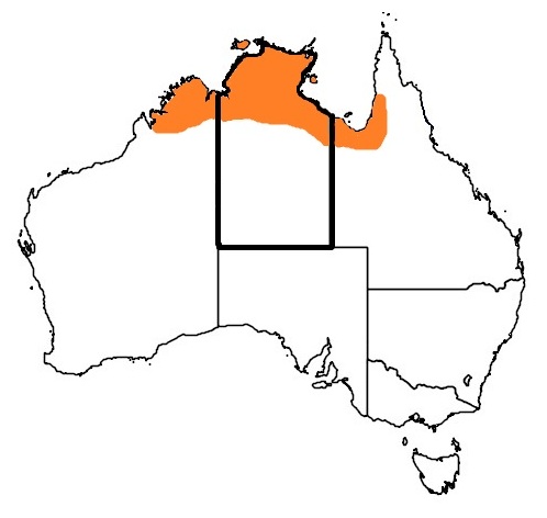 Distribution map Darwin Carpet python
