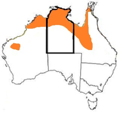 Olive Python Map