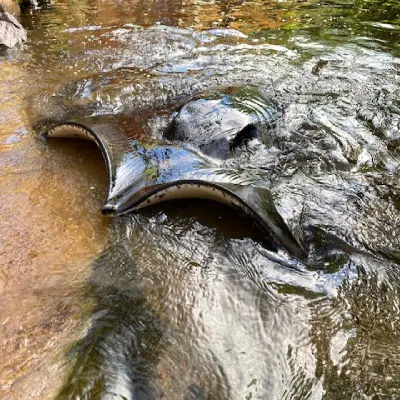 Stream culvert